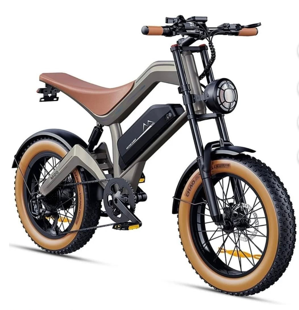 DYU M20 All-Terrain Long-Range Electric Bike