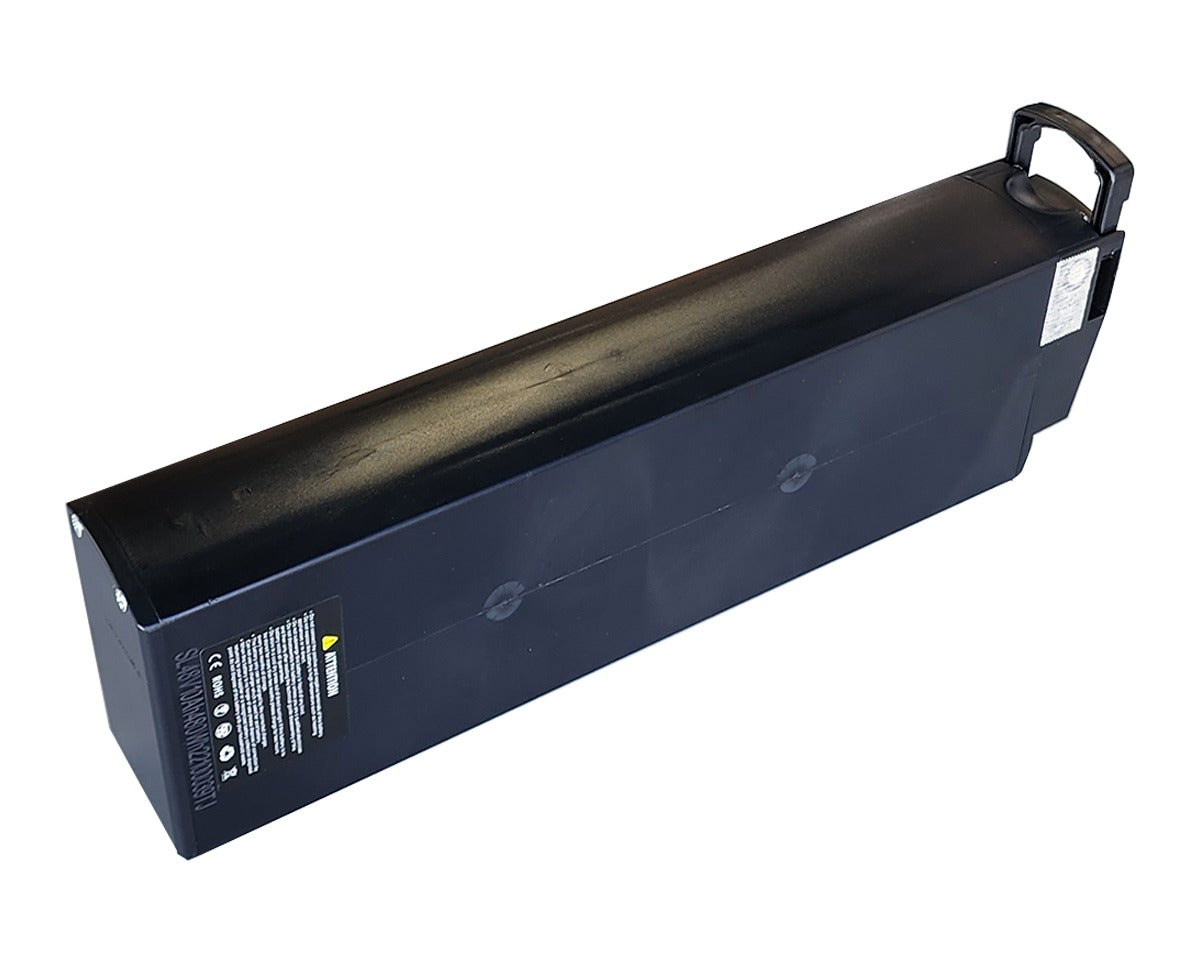 Lithium Battery For Electric bike 48v/10ah